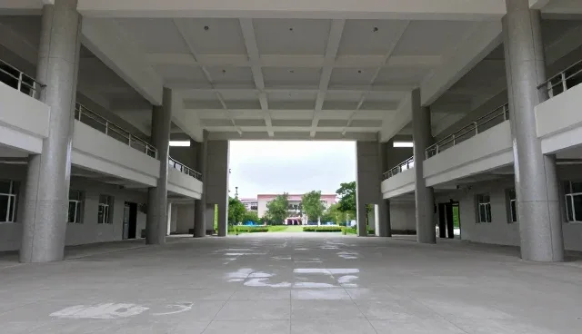 probable名词形式怎么写:两种做法的比较与取舍