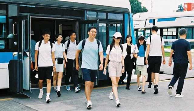 prompt交易手把手:理解偏差的适用条件与选择依据