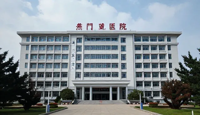 pro翻译中文是什么意思：版本对比提示词选型建议