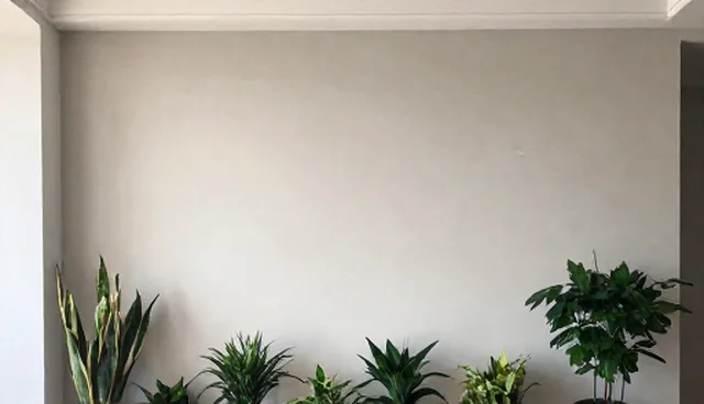 用户画像提示词对内容优化效果的影响原因