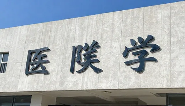 AI提示词教程百度网盘:如何优化参数标注服务流程
